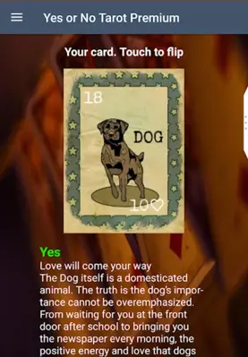 Yes or No Tarot android App screenshot 2